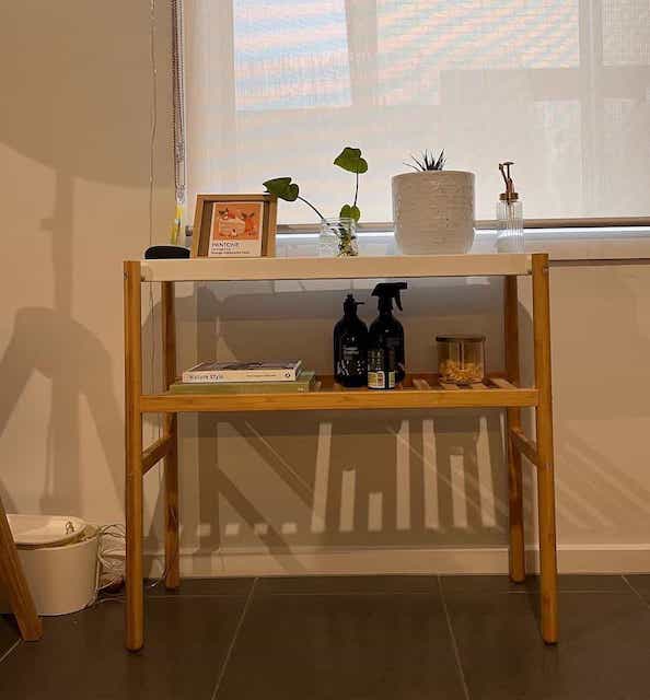 Shelf with small items, plants, spray bottles, books, and photo frame